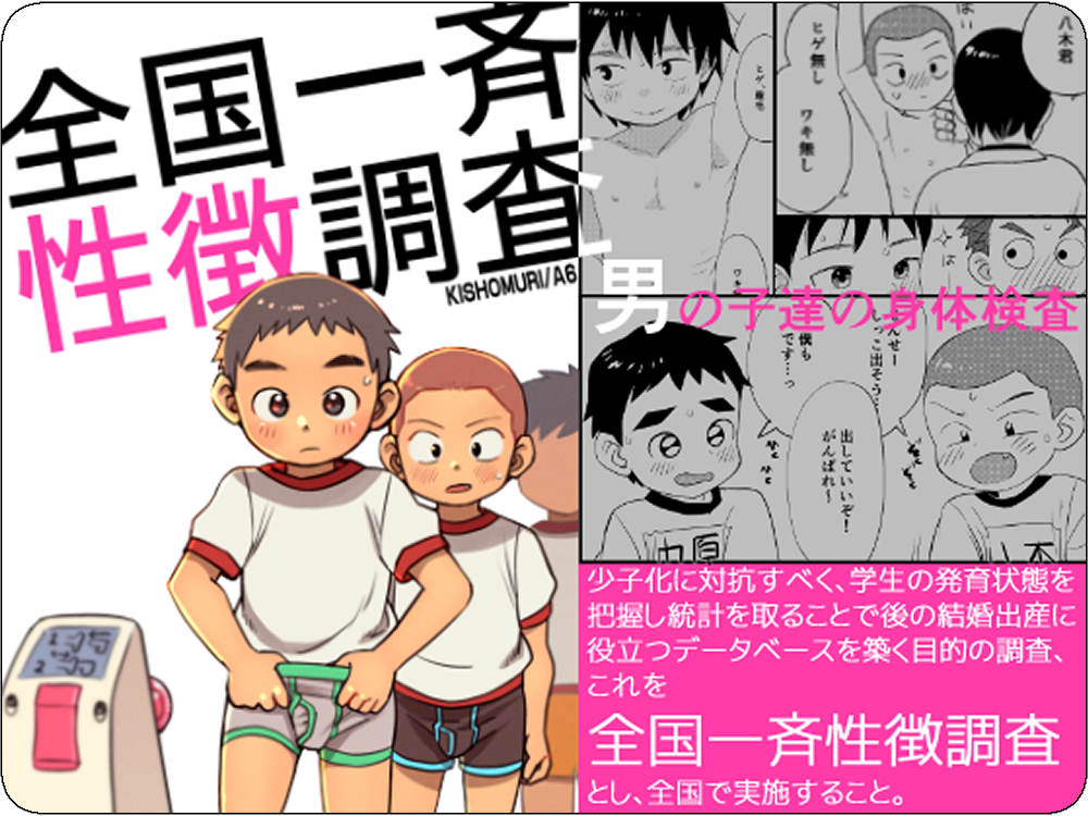 全国一斉性徴調査